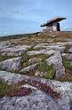 WT 2900 342-02 Ireland The Burrin